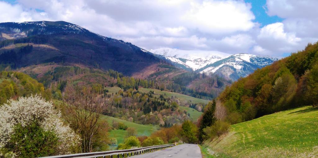Penzion Encian Mýto pod Ďumbierom Dış mekan fotoğraf