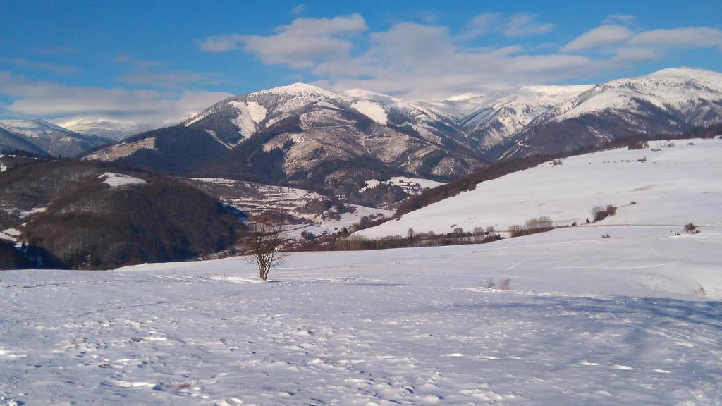 Penzion Encian Mýto pod Ďumbierom Dış mekan fotoğraf